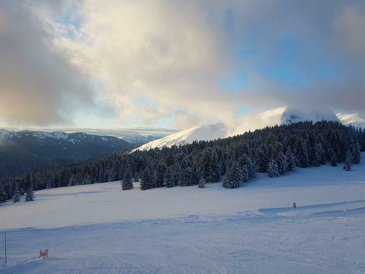 Praz-Du-Soleil F3 Apartment Les Gets Luaran gambar